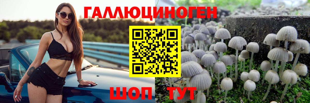 Мурино  Галлюциногенные грибы Psilocybine cubensis  Галлюциногенные грибы ЛСД  Вход с VPN 